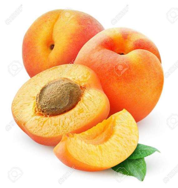 Cheap Price Natural Fresh Apricot