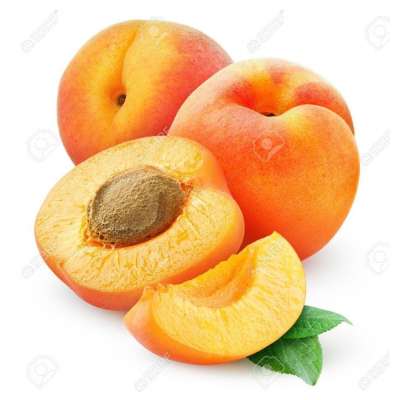 Cheap Price Natural Fresh Apricot